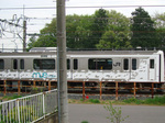 DSC06035.jpg