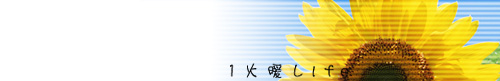 lastbarhimawari01.jpg